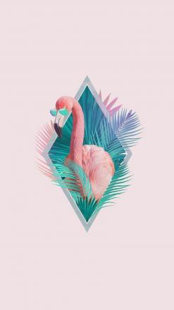 Phaliaetus