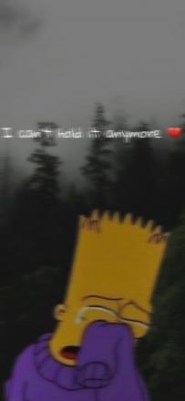 Reachseenew
