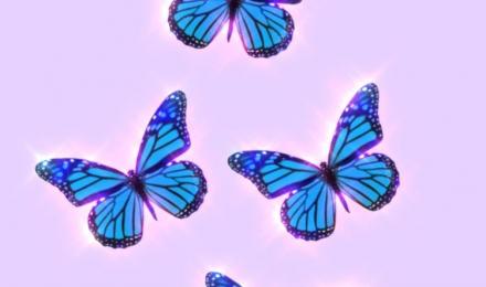 Butterfly Aesthetic Wallpapers
