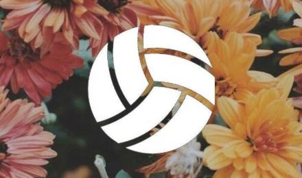 Volleyball Aesthetic Wallpapers