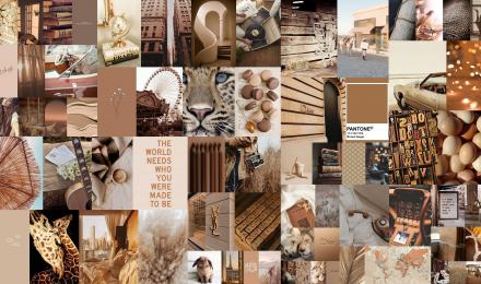 Light Brown Aesthetic Wallpapers