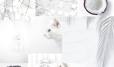 White Aesthetic Wallpapers