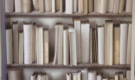 Bookshelf Aesthetic Wallpapers