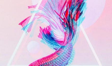 Fish Aesthetic Wallpapers