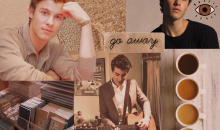 Shawn Mendes Aesthetic Wallpapers