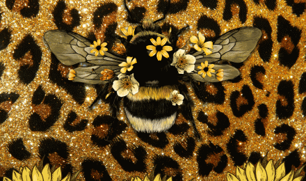 Bee Aesthetic Wallpapers