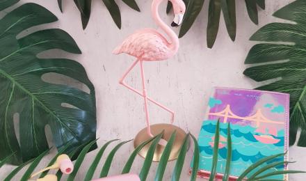 Flamingo Aesthetic Wallpapers