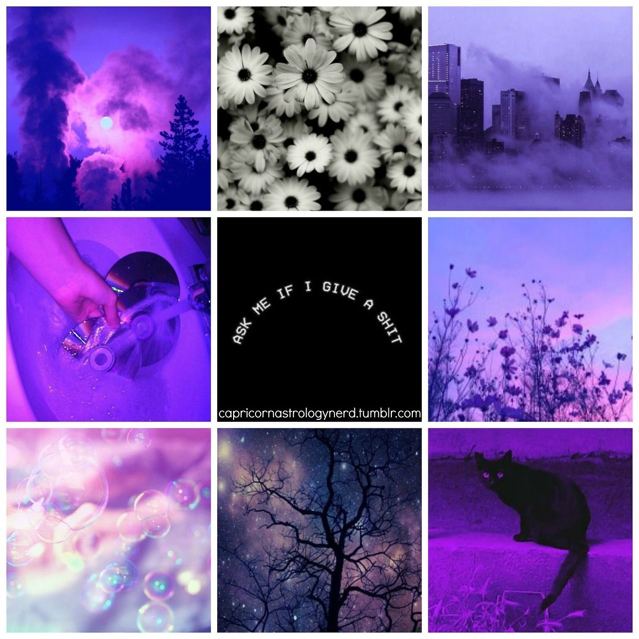 Aesthetic collage of purple and blue images including flowers, a city, and a cat. - Capricorn