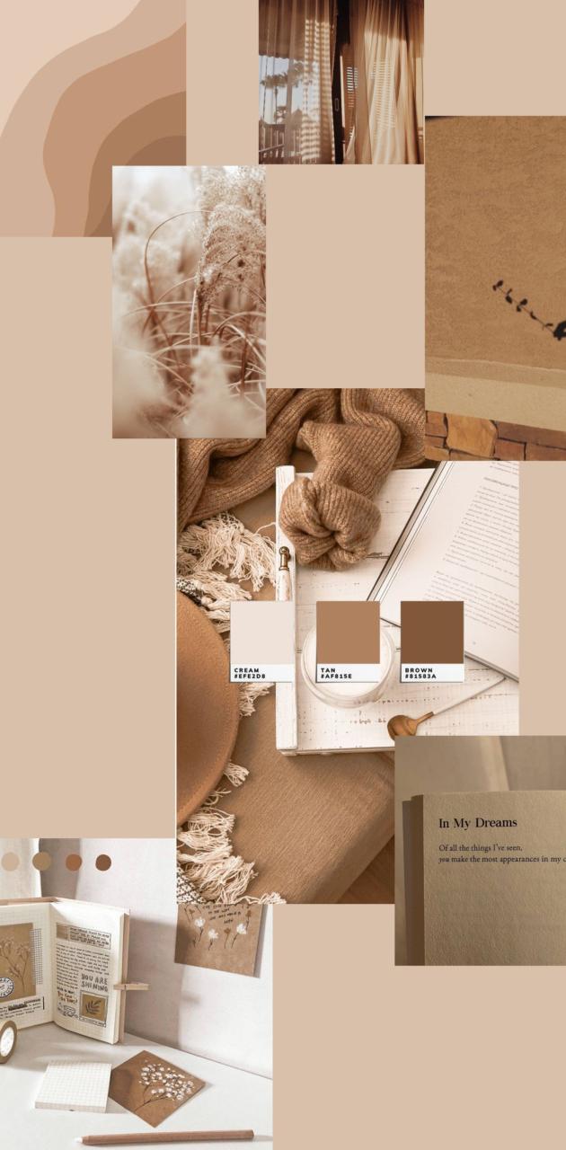 A collage of images of brown and white objects, including a book, a hat, and a vase. - Beige, collage, cream