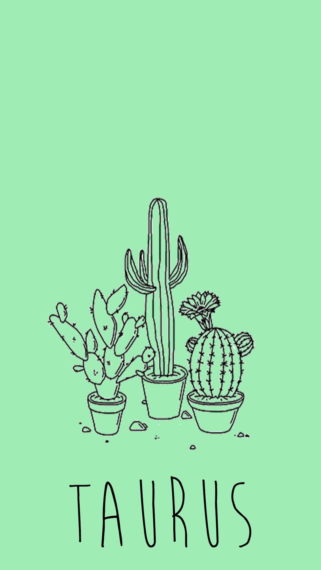 Taurus wallpaper phone background with three cacti and the word Taurus - Taurus