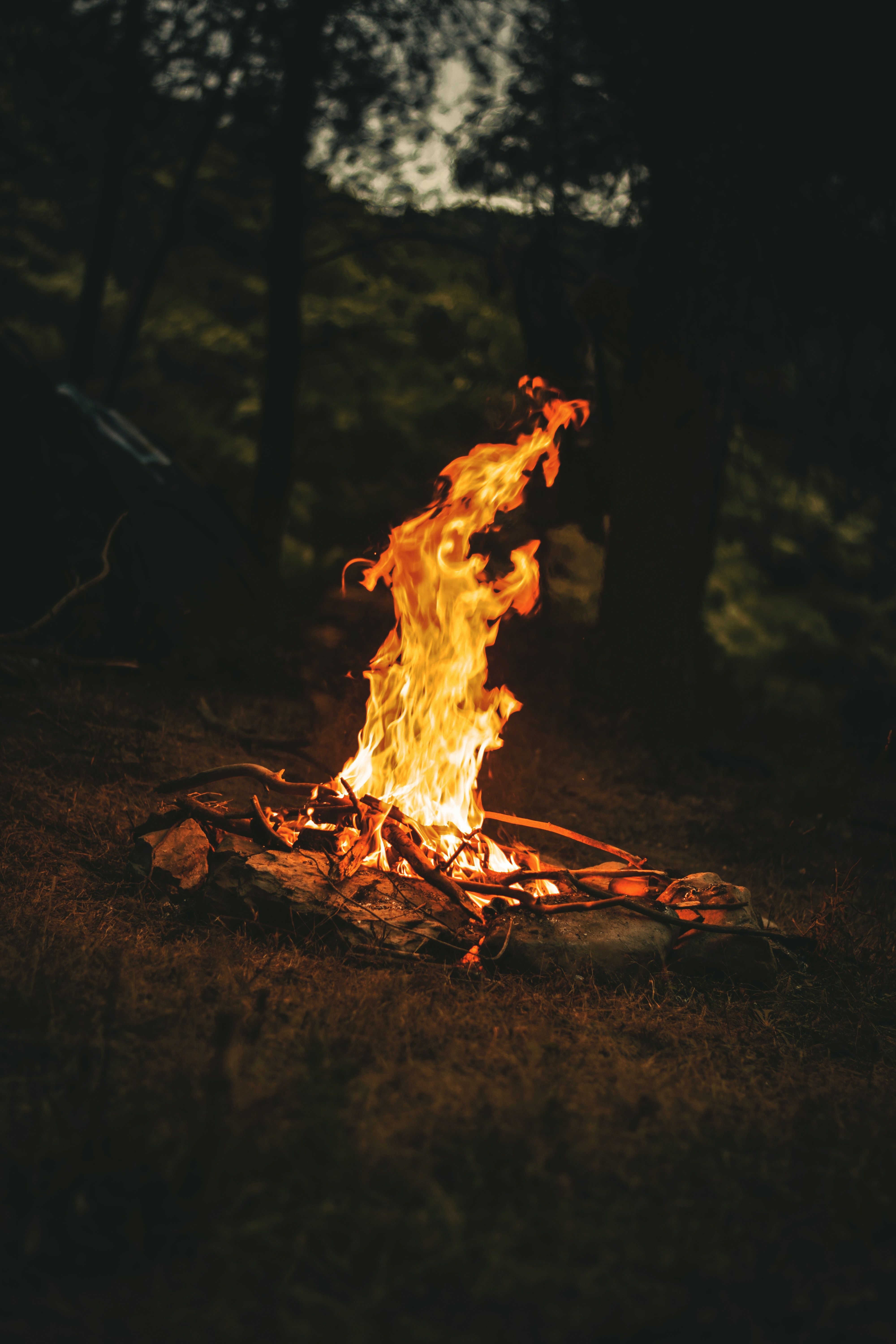 Camp Fire Photo, Download The BEST Free Camp Fire & HD Image