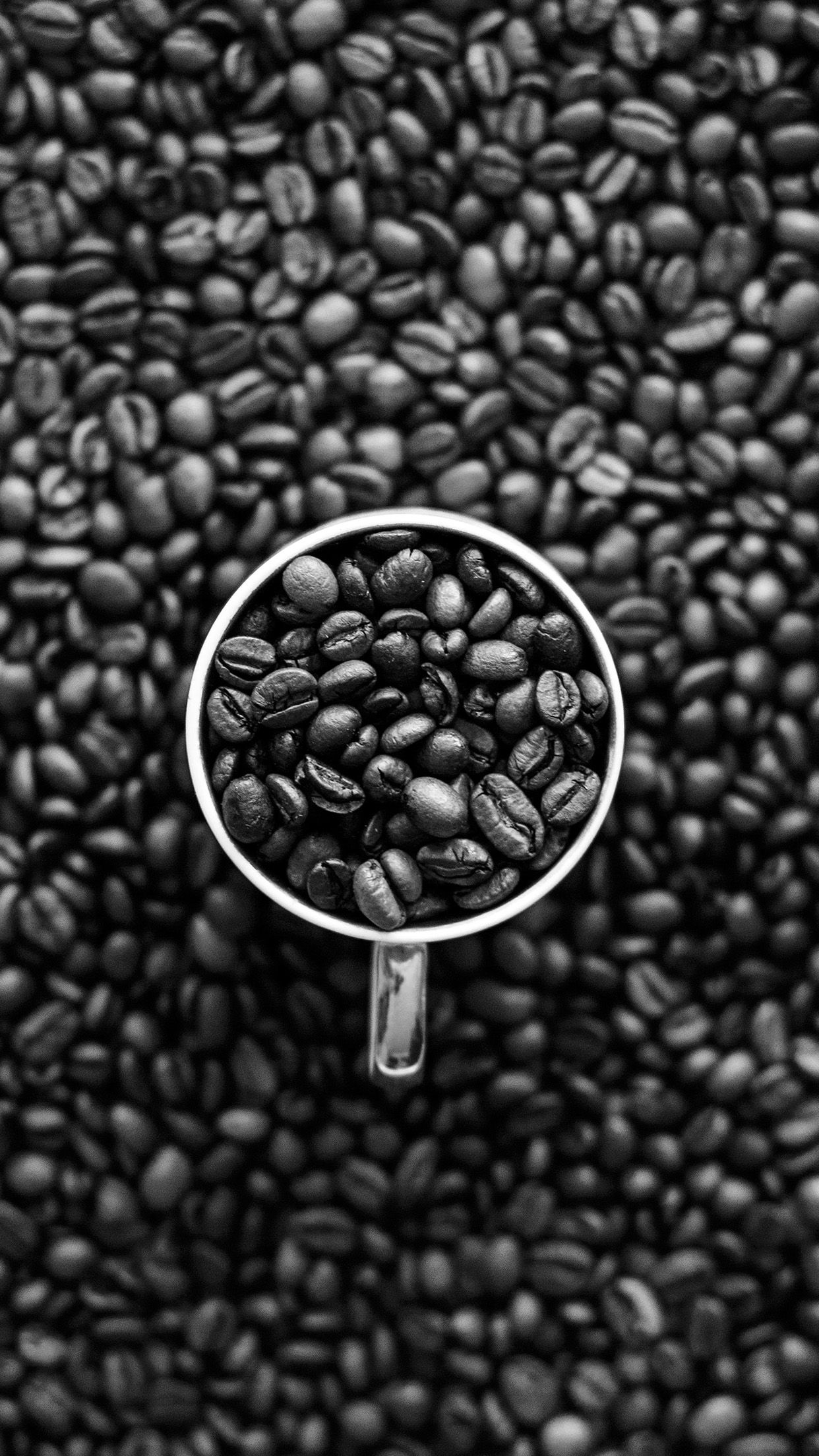 A black and white photo of coffee beans - Coffee