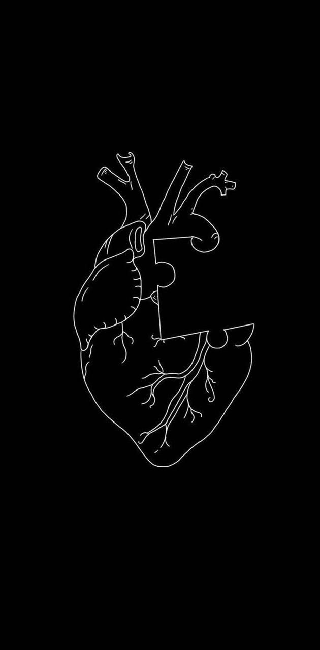 A black and white drawing of the heart - Black heart