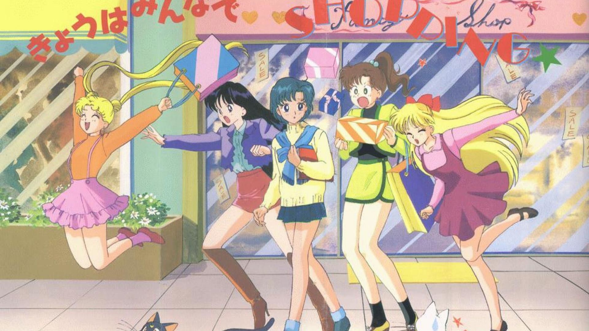 The sailor moon anime series - Sailor Moon
