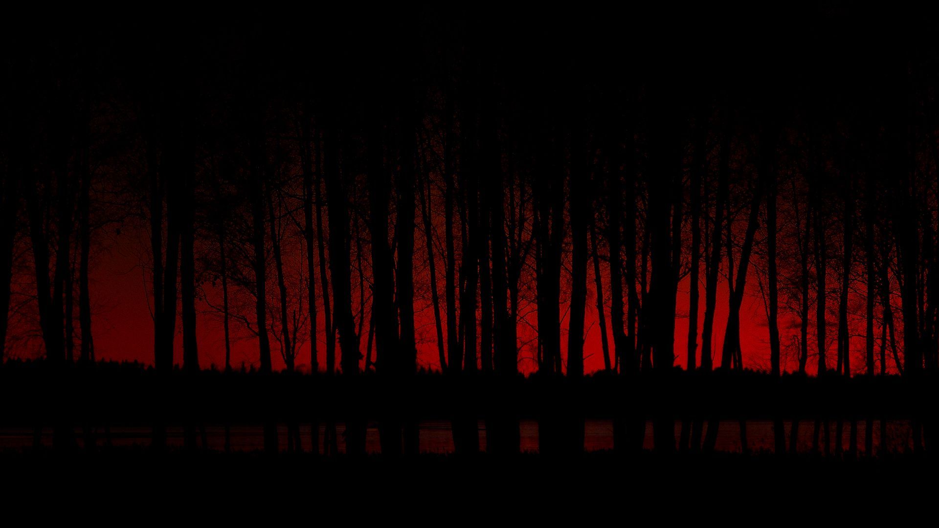 A red and black wallpaper of a forest with a red sky - Horror