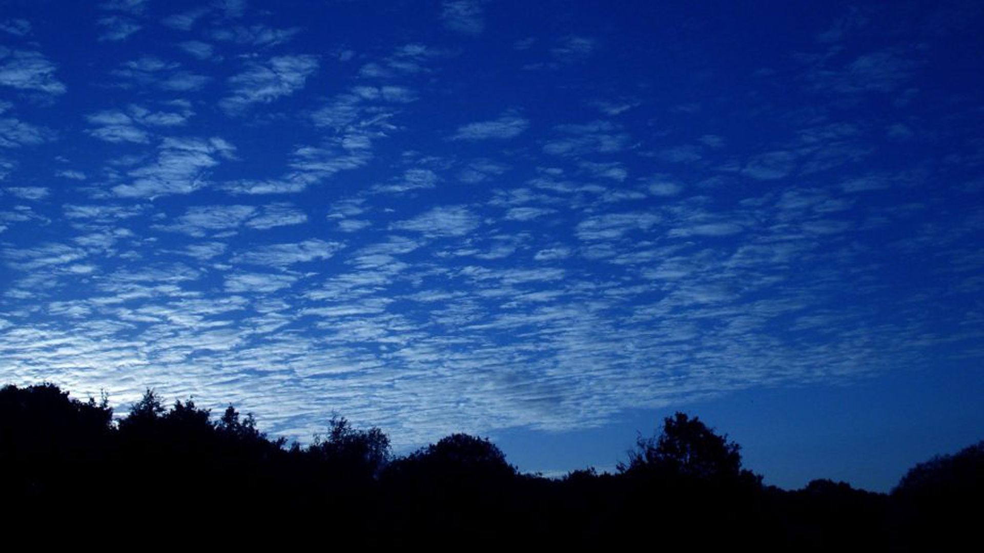 A sky with clouds and trees in the foreground - Sky