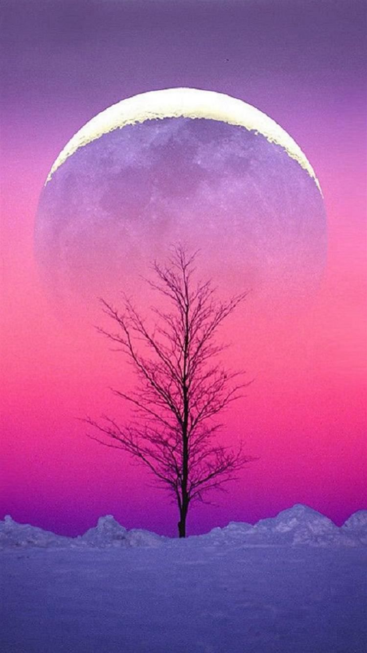 IPhone wallpaper of a tree in the snow with a pink and purple sky - Sky