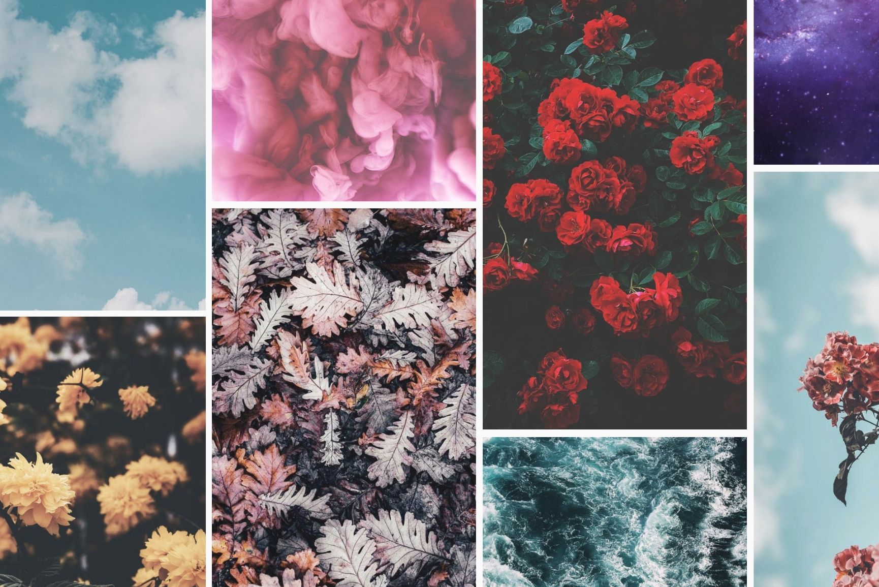 A collage of 9 different floral and sky images - Preppy, February