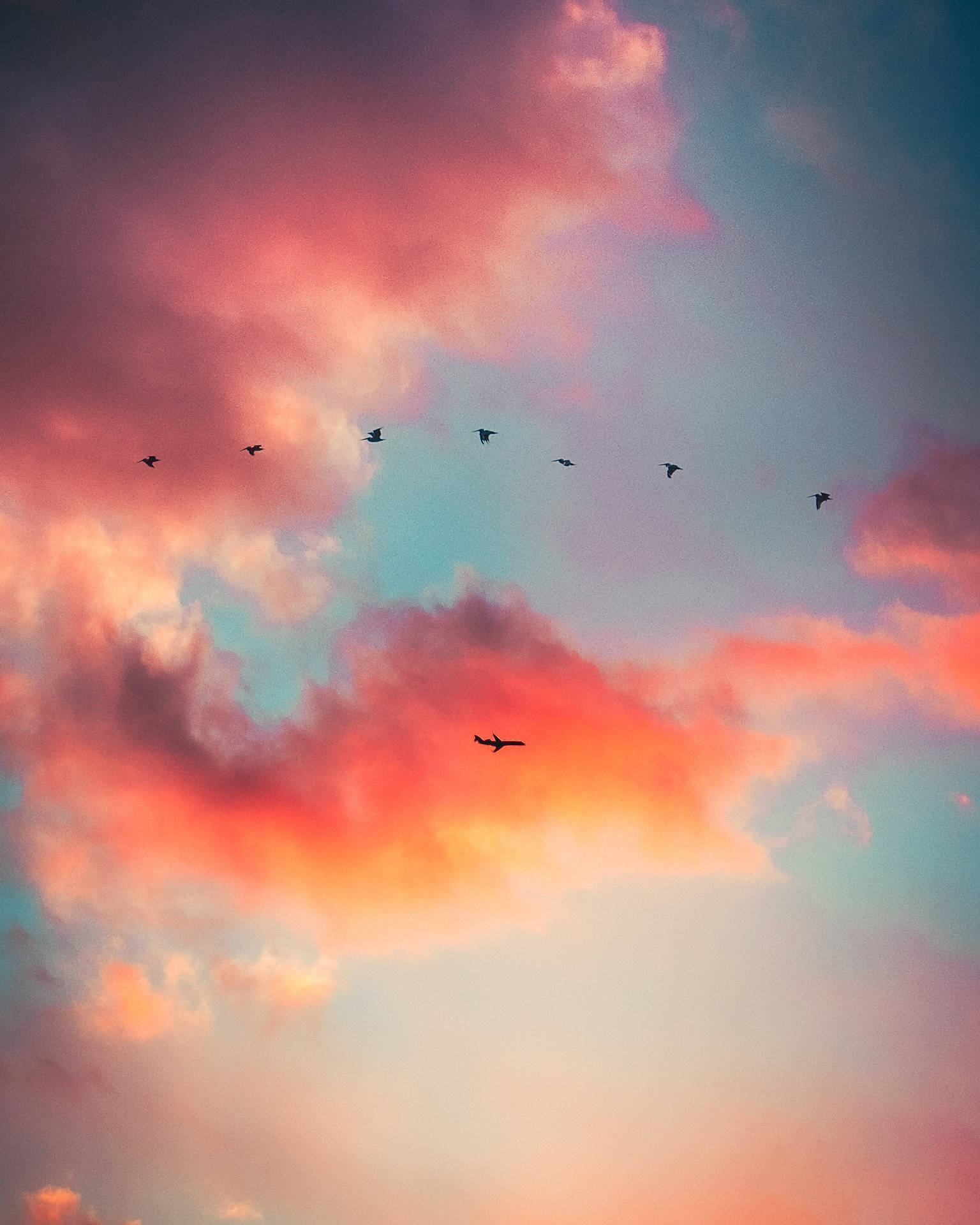 A flock of birds flying over the sky - Vintage clouds, cloud