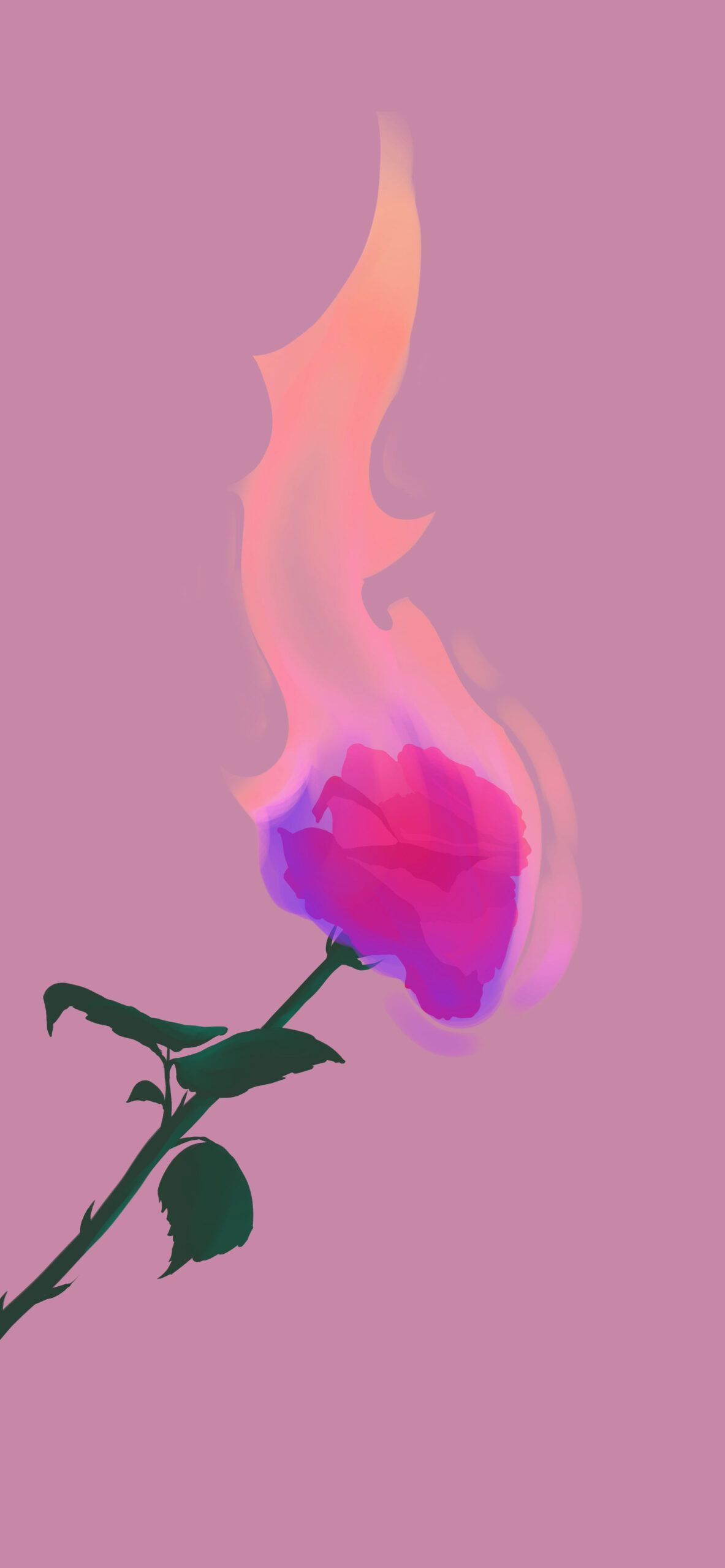 A pink and purple flower with fire coming out of it - Fire, flames