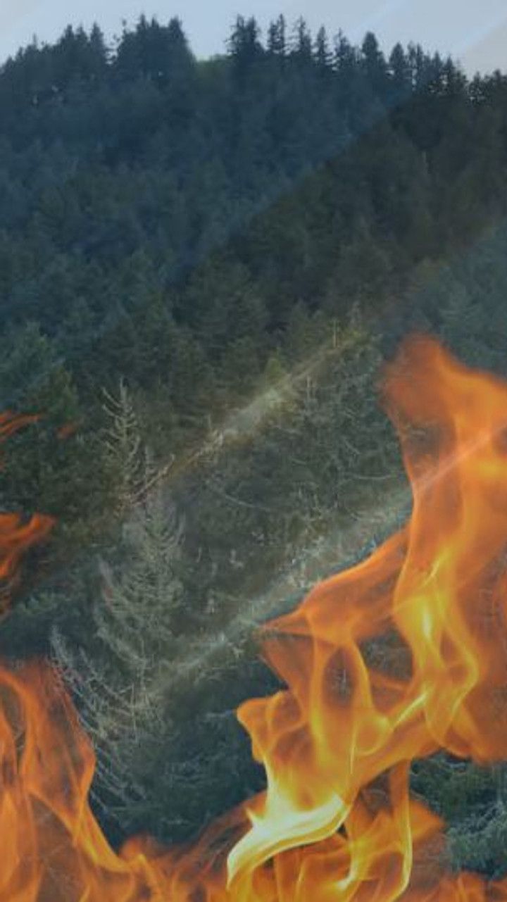 Willamette Valley wildfire threat increases this weekend
