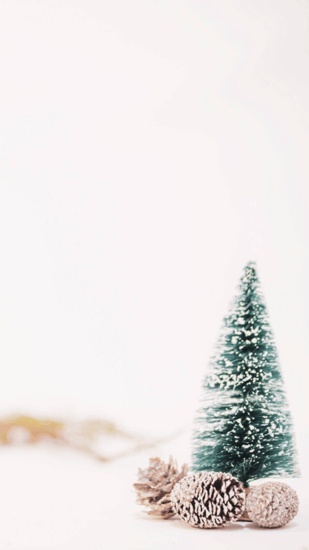 A white background with a small tree and pinecones in the foreground. - Christmas, white Christmas