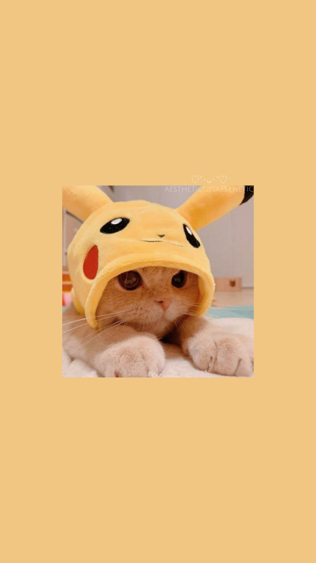 A cat wearing pikachu hat - Cat