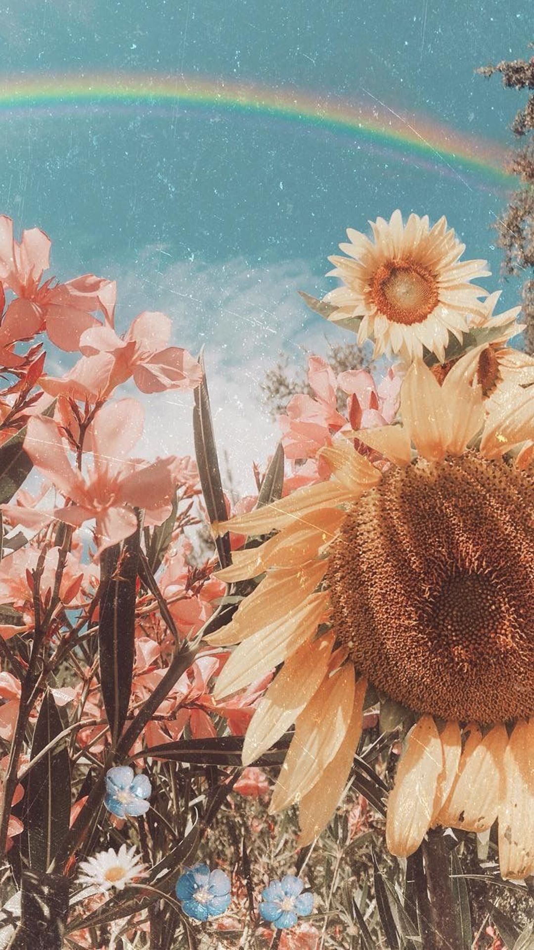 Aesthetic Boho Wallpaper HD. Sunflowers and wild flowers. Vintage aesthetic
