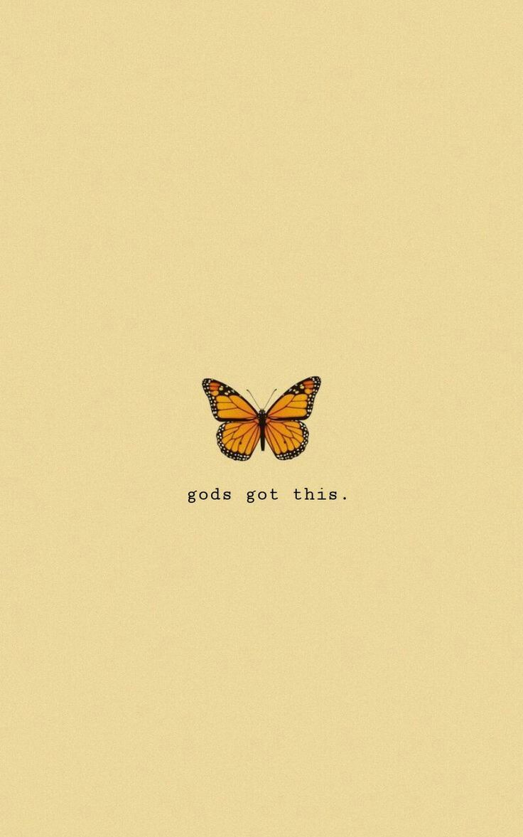 Aesthetic butterfly wallpaper background with the quote 