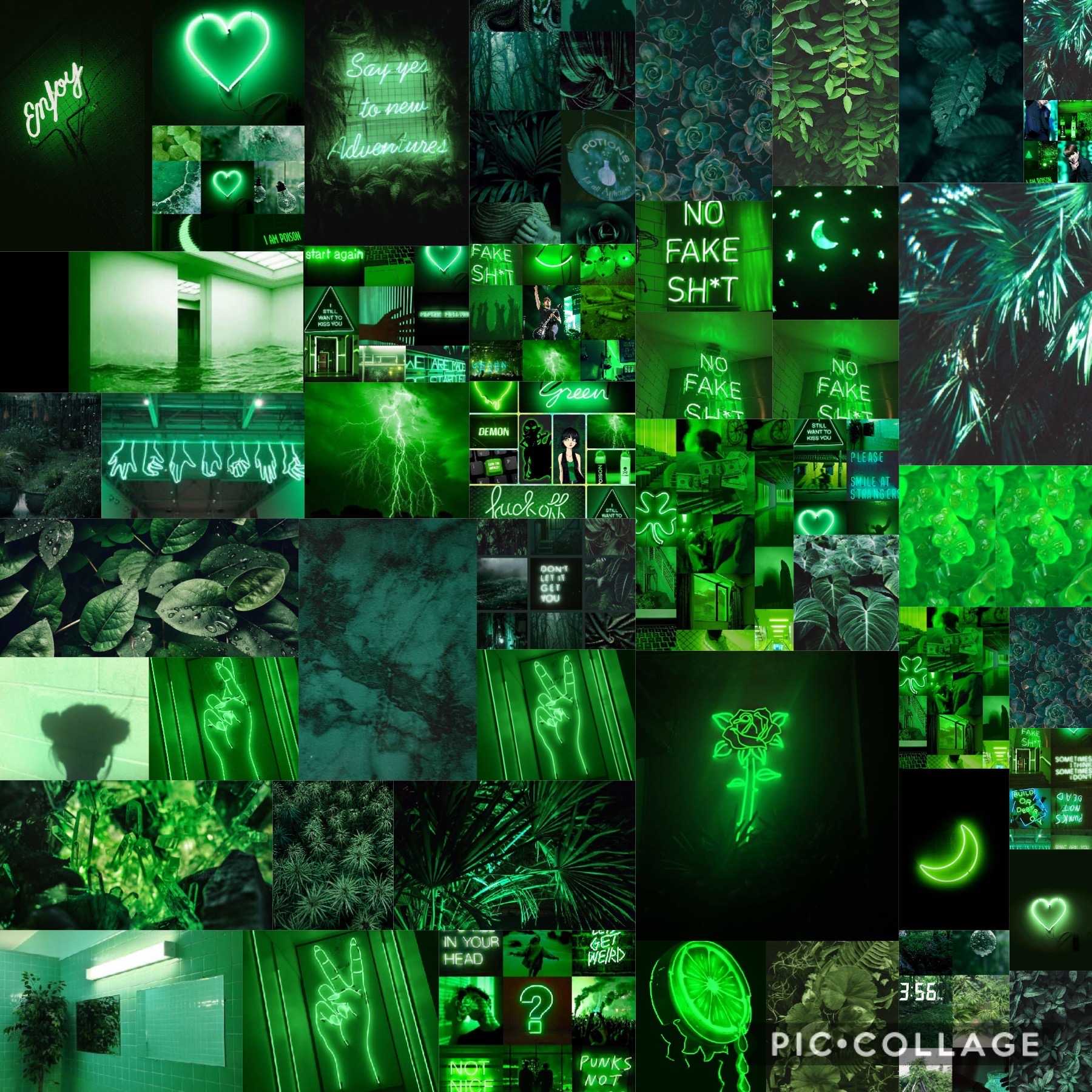 Green Aesthetic Wallpaper