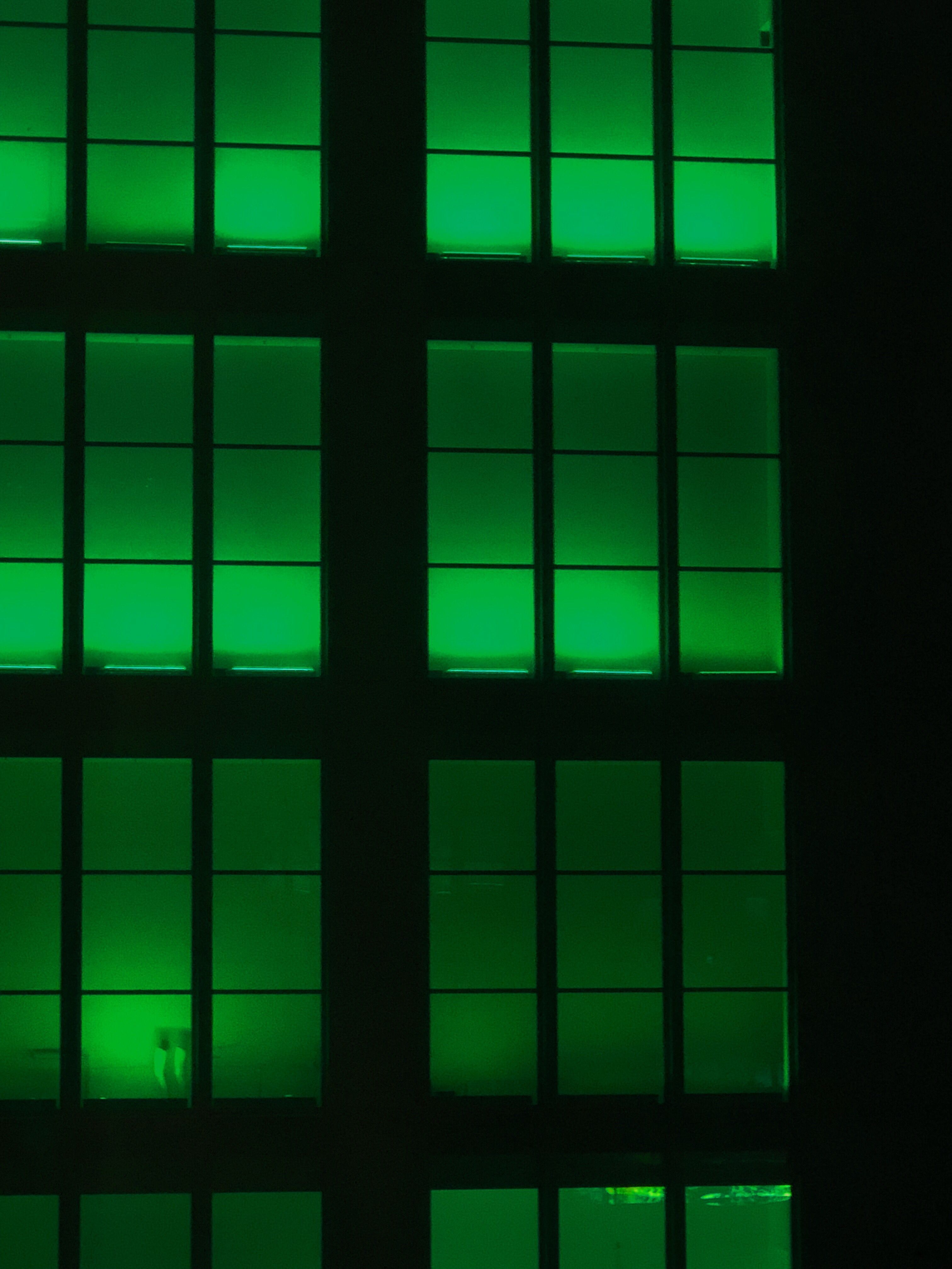 A green neon light shines through a wall of windows. - Neon green, lime green
