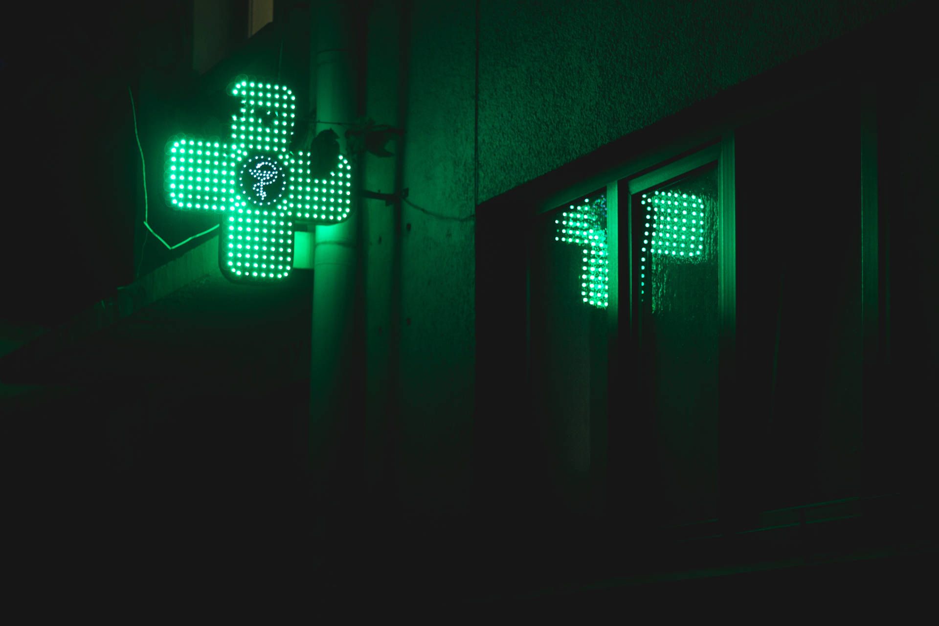 A green neon sign of a four leaf clover on a wall - Neon green, light green, dark green
