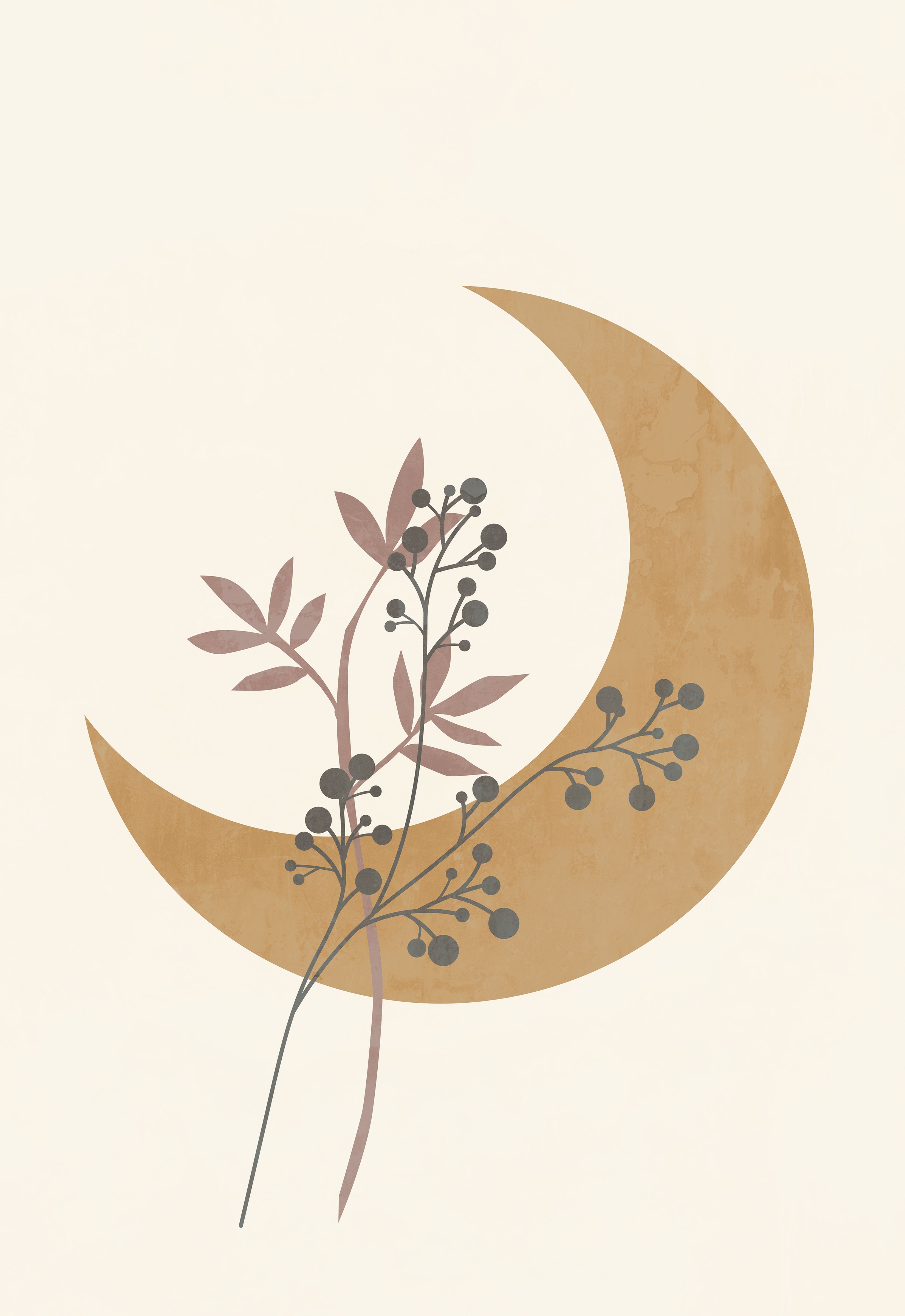A moon with some plants on it - Boho