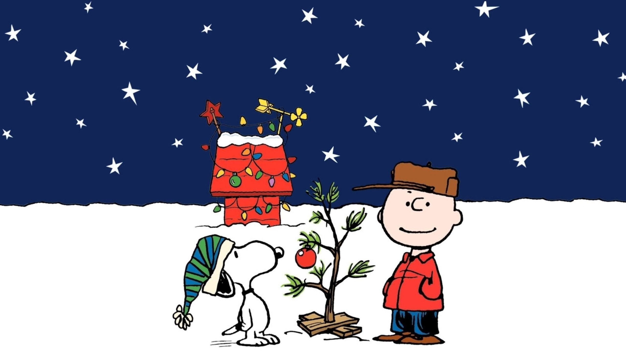 Charlie Brown Christmas tree, Snoopy and Woodstock, stars in the sky - Snoopy, Charlie Brown