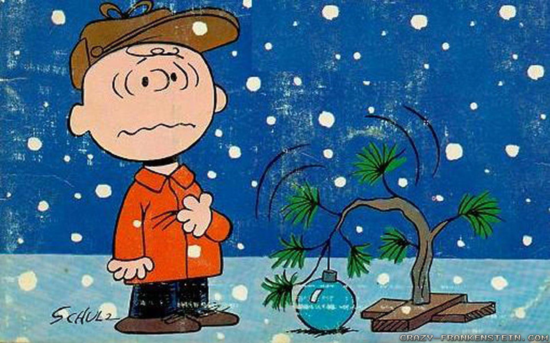 Charlie Brown stands in the snow with a sad look on his face as he looks at a small tree with no leaves. - Charlie Brown