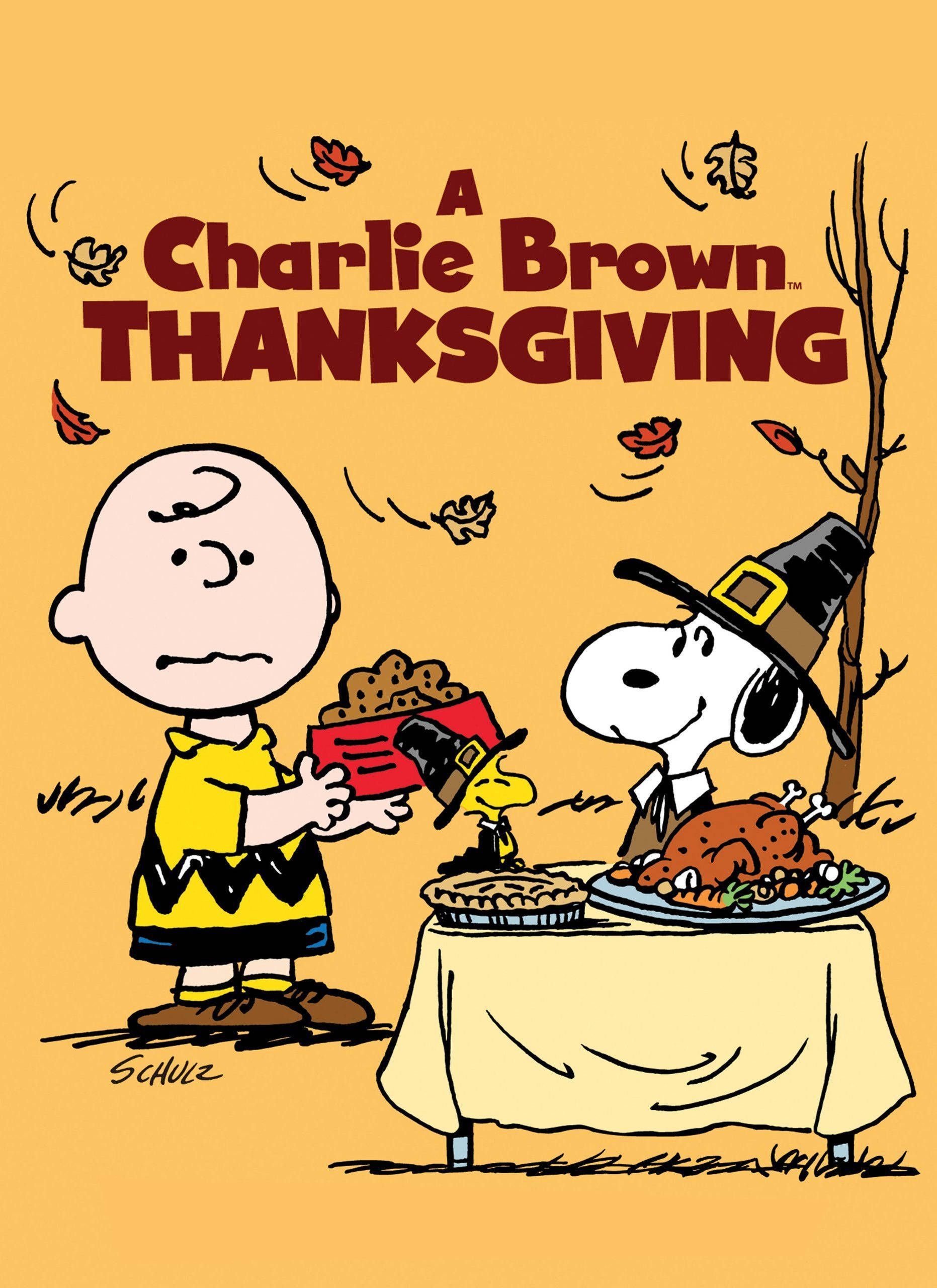 Download Charlie Brown Thanksgiving Wallpaper
