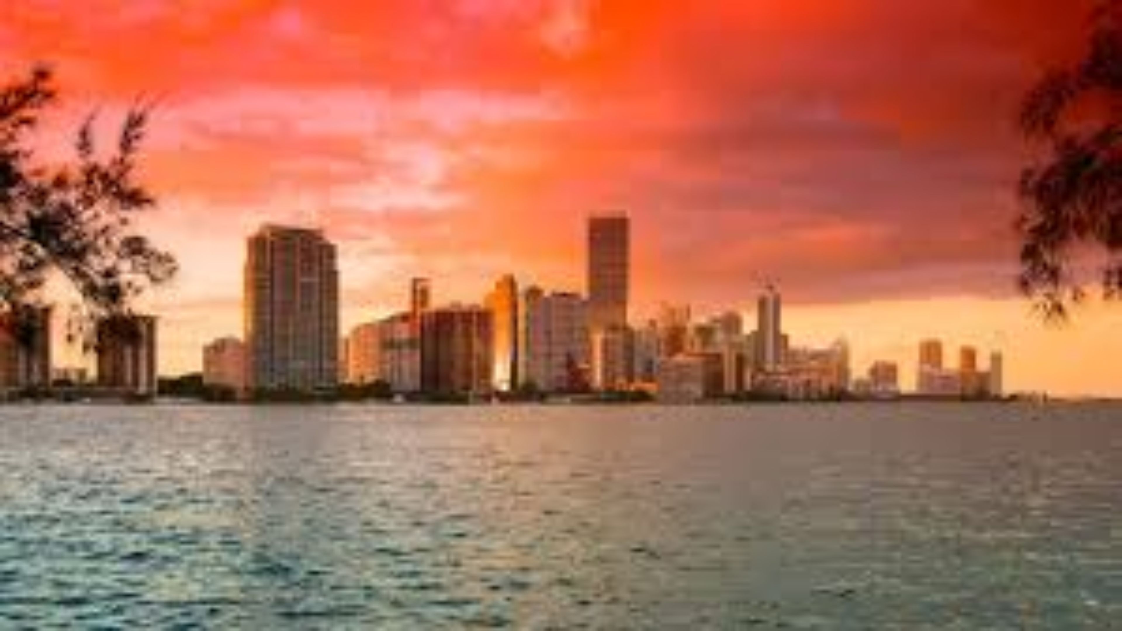 The city of miami at sunset - Miami