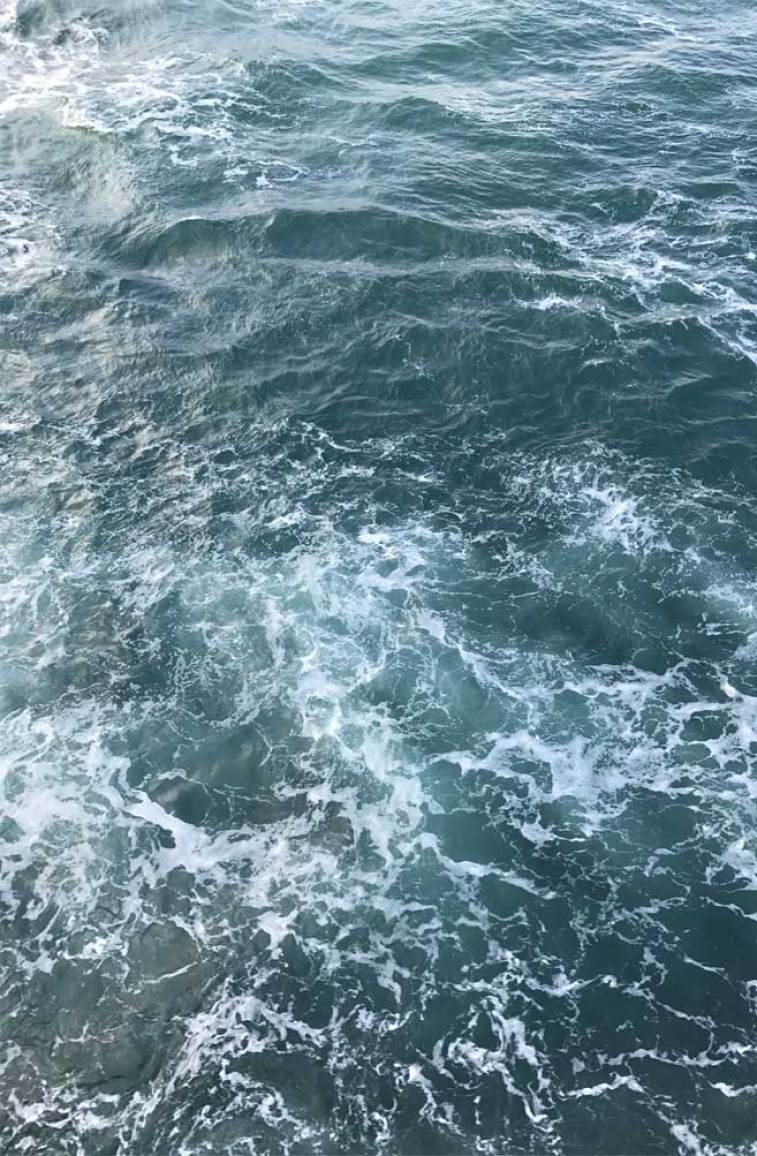 A wave is crashing into the ocean - Ocean