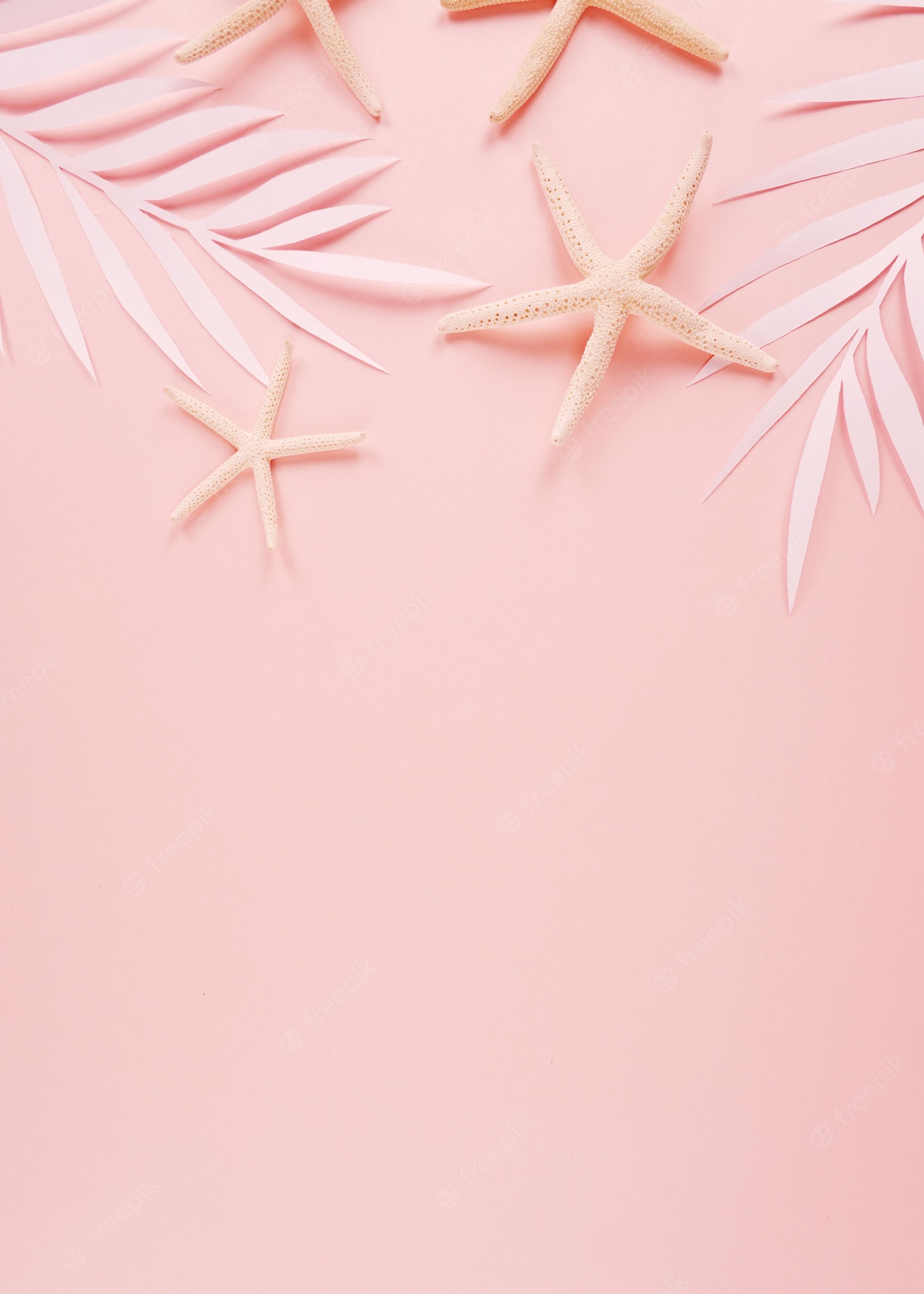 A flat lay of starfish and palm leaves on a pink background - Starfish