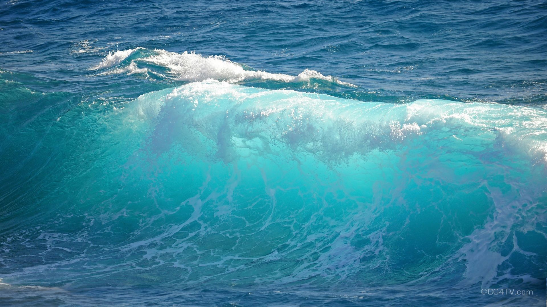 A large wave in the ocean - Ocean