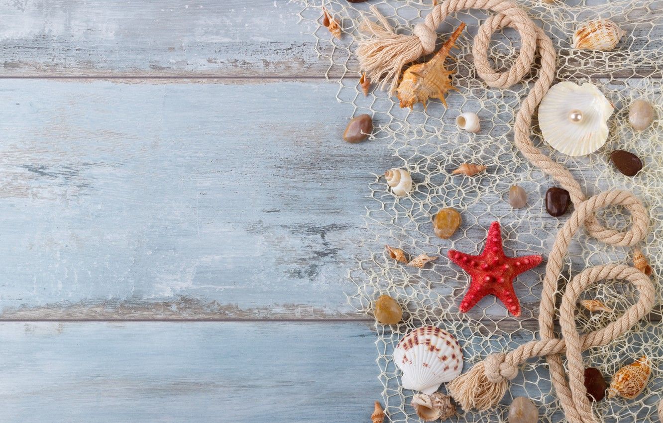 Sea shells, starfish and rope on a wooden background - Starfish