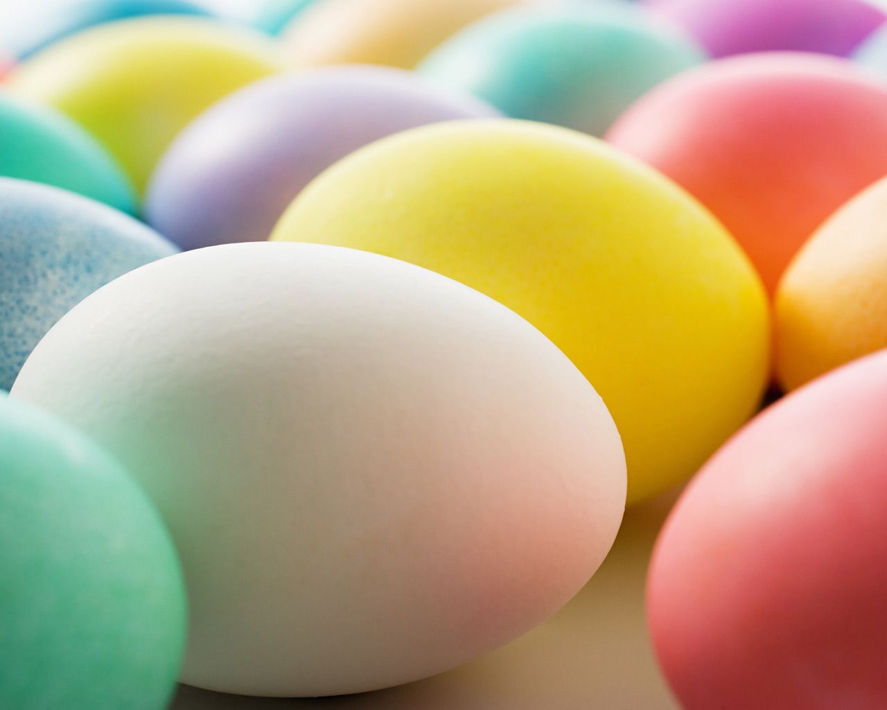 A close up of several colored easter eggs - Egg