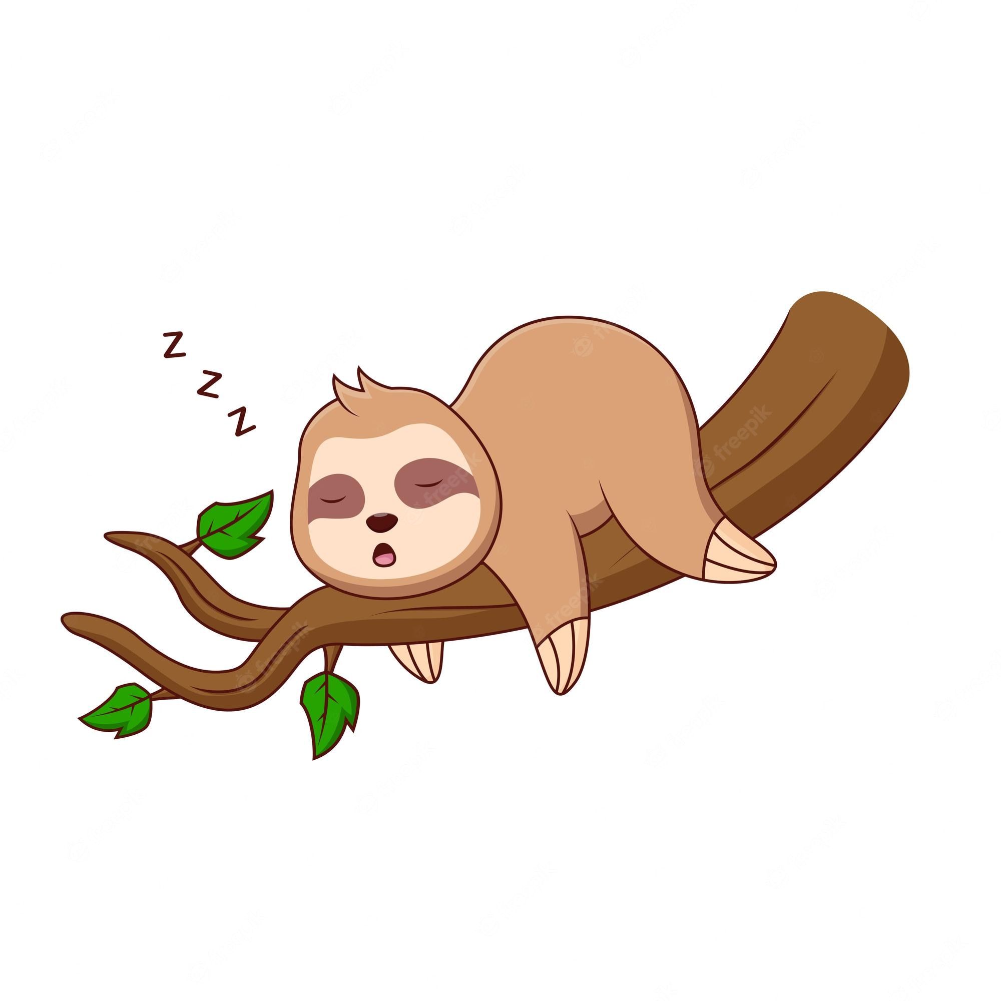 Sloth Sleeping Image