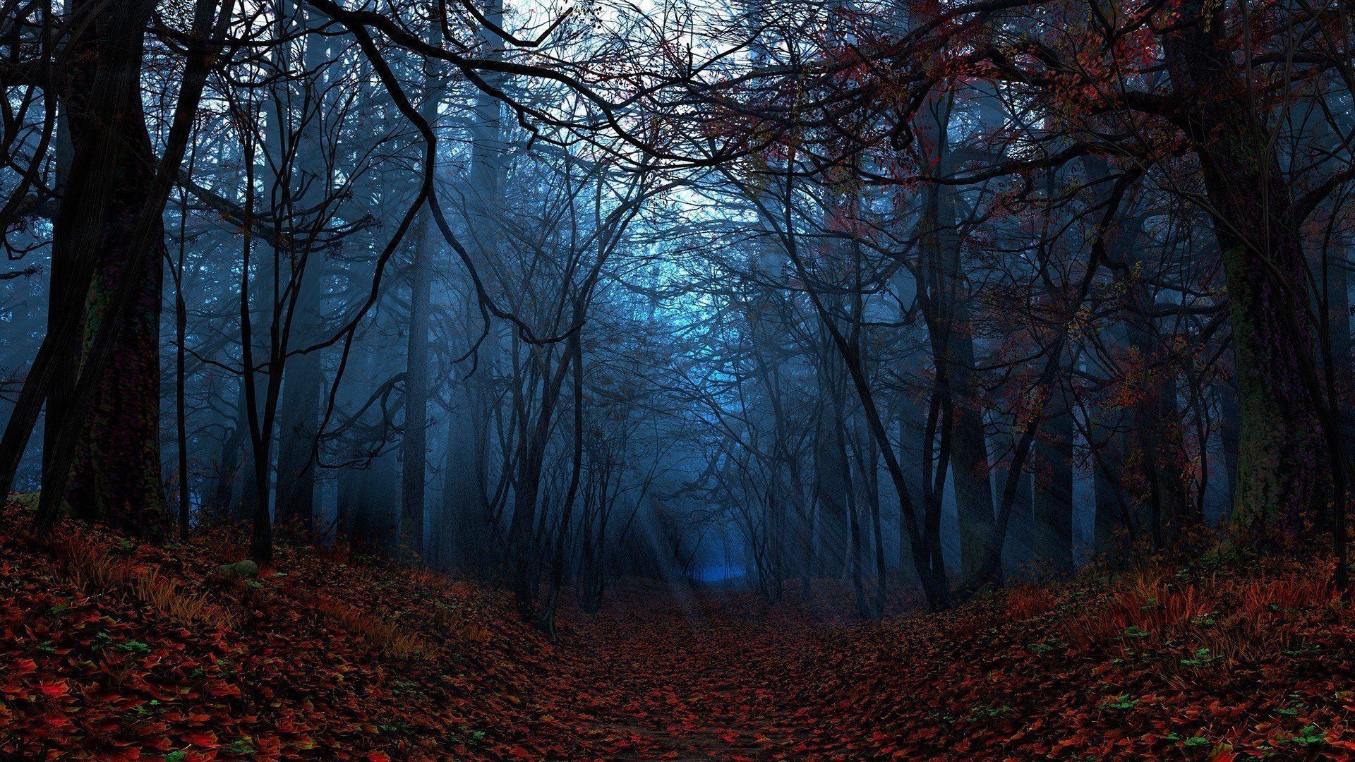 Fall Leaves On Ground In The Forest HD Dark Aesthetic Wallpaper
