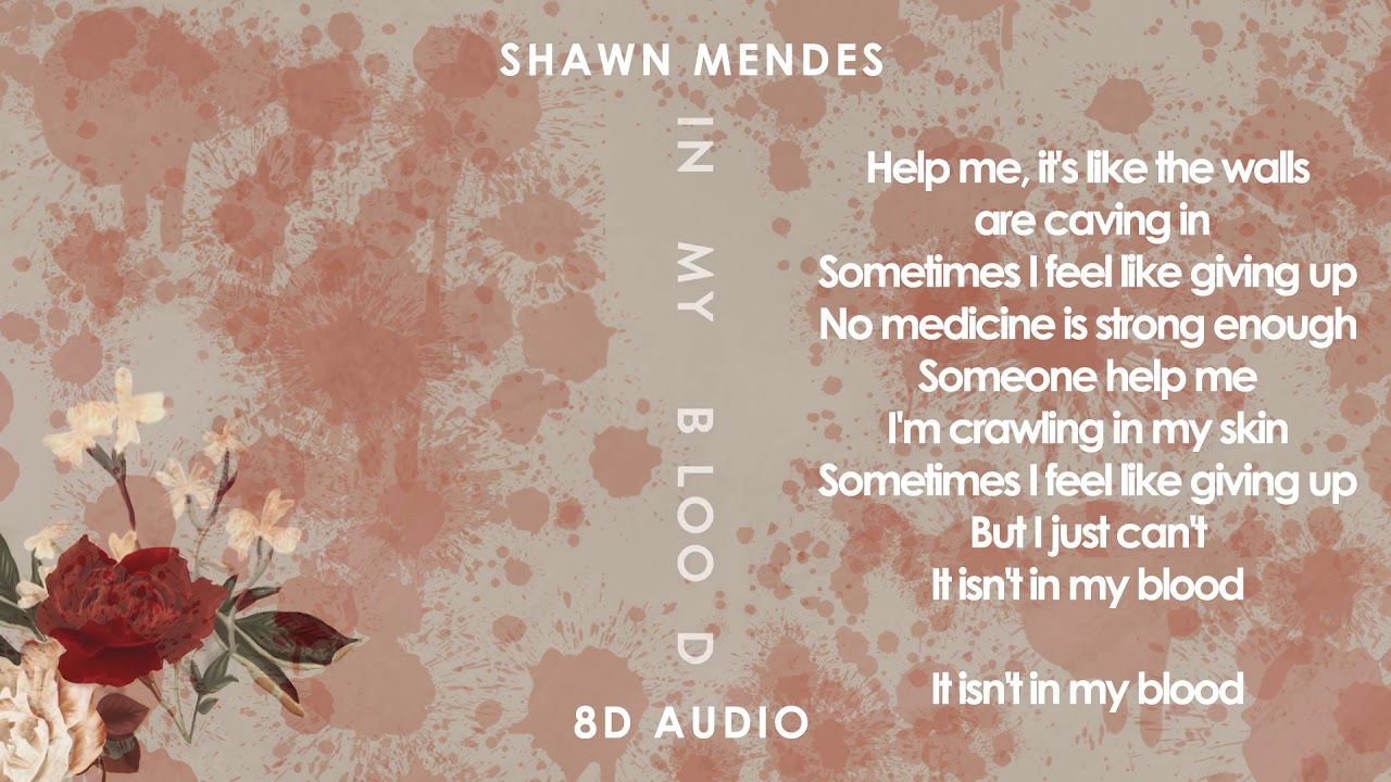 Shawn Mendes Lyrics Wallpaper Computer