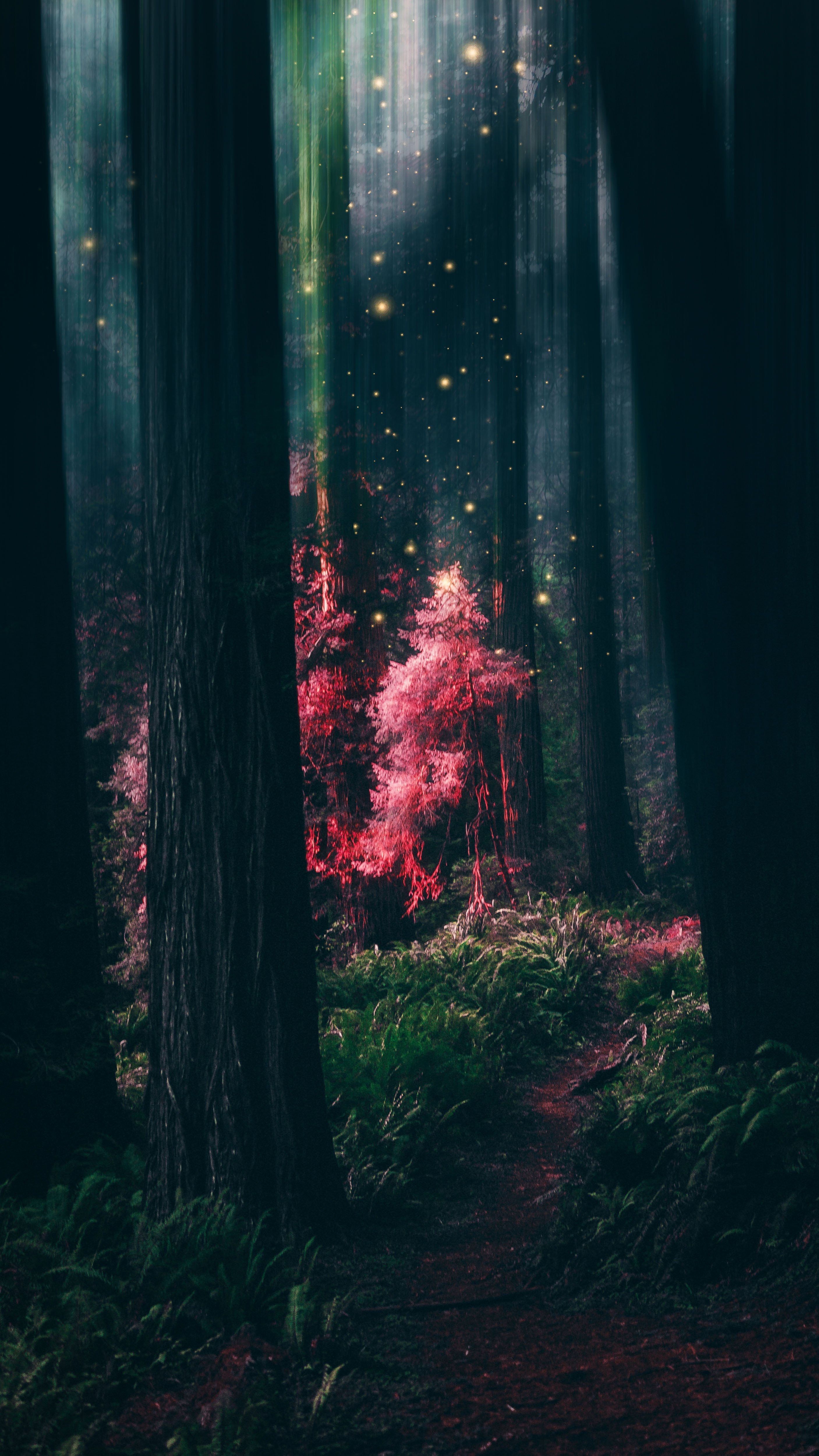 A forest with a trail and pink trees - Forest, magic