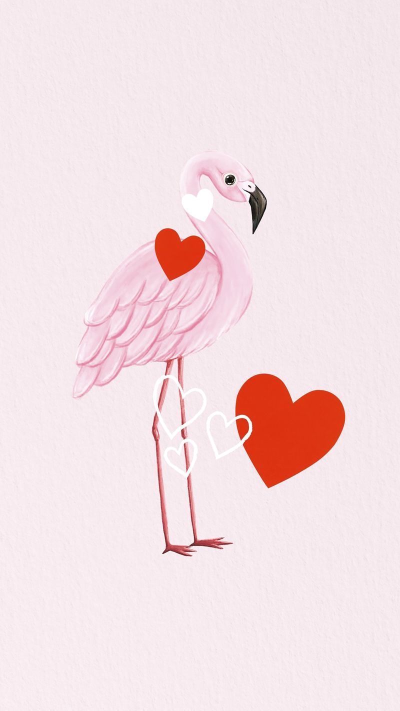 A flamingo with a heart in its mouth - Flamingo