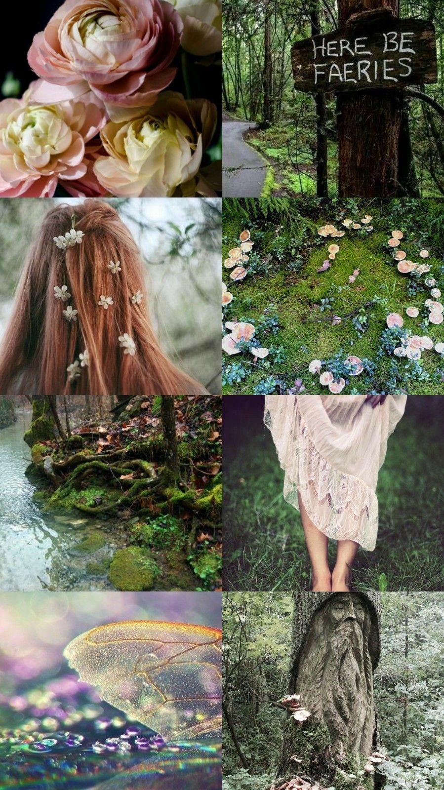 Collage of photos with flowers, moss, a fairy, and a tree stump - Forest