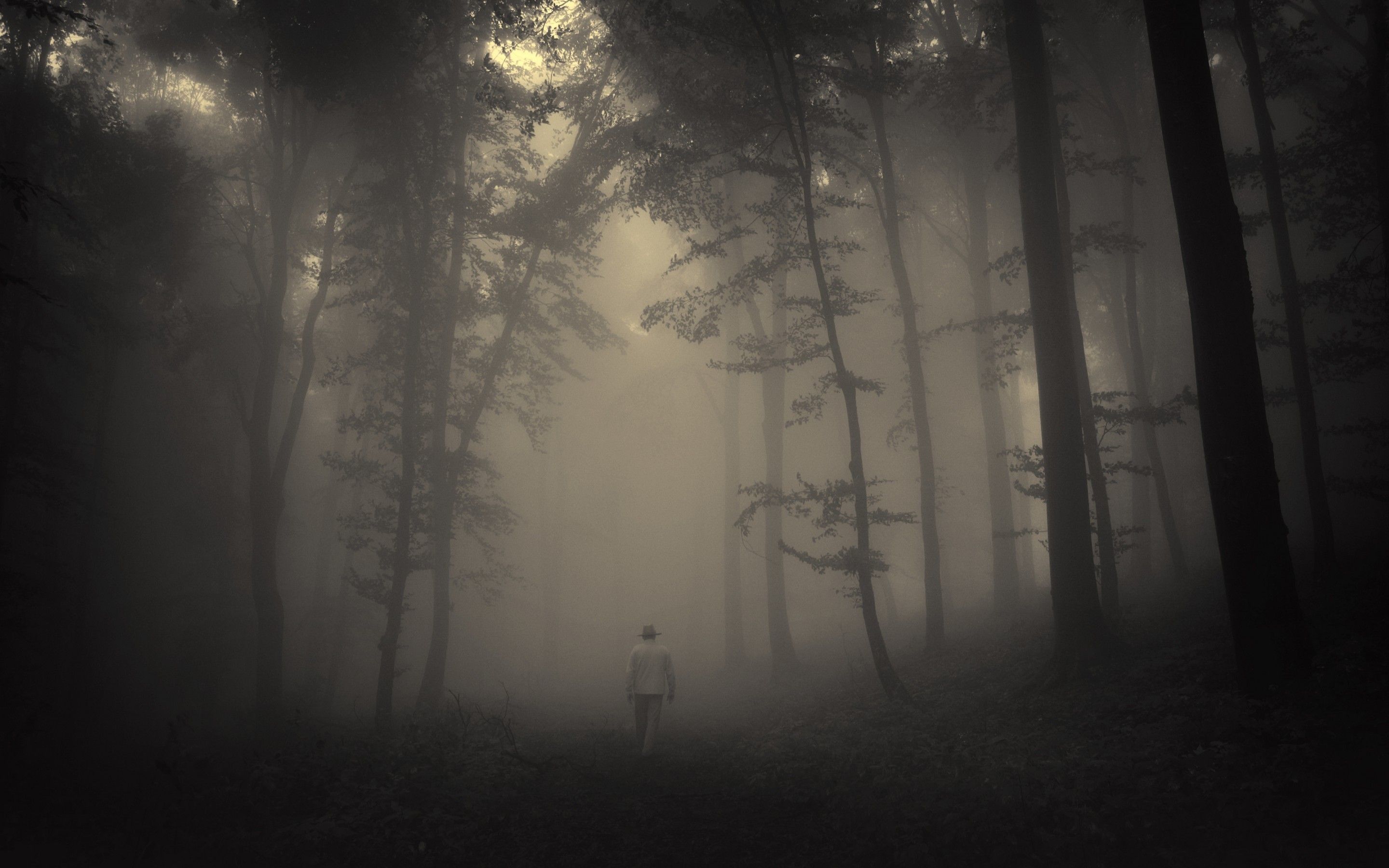 A person walking in the woods at night - Forest, creepy, foggy forest