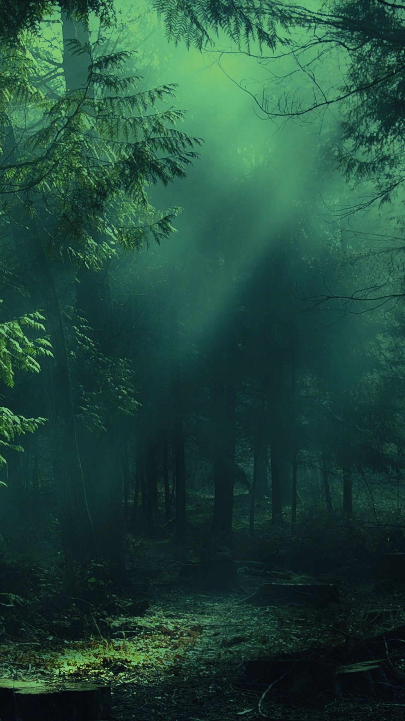 IPhone wallpaper of a forest with a ray of light shining through the trees. - Forest, fog, foggy forest